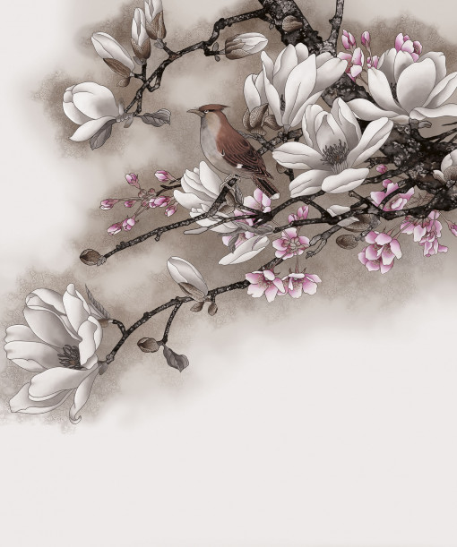 Magnolia gray