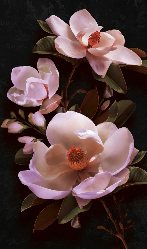 Magnolia macro pink