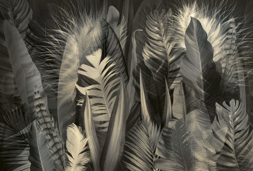 Feathers and leaves sepia