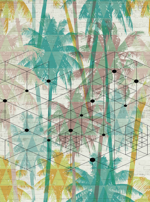 Jungle geometry