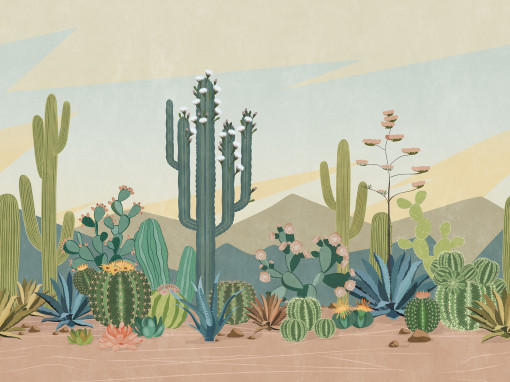Кактусы в пустыне