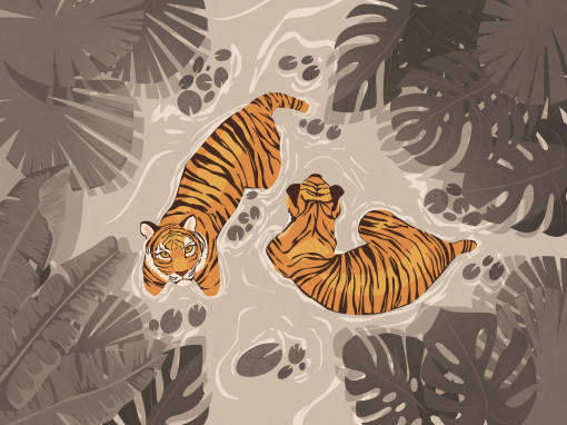 Tigers swim