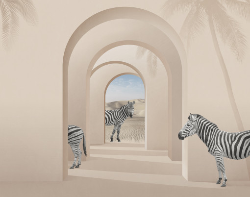 Zebras in space
