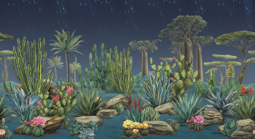Desert flora night