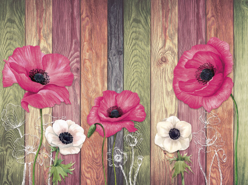 Poppies and texture