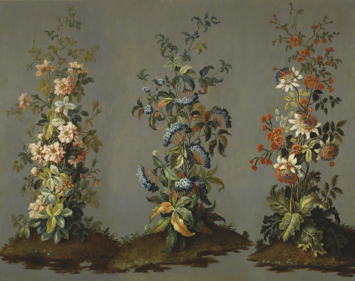 Три куста с цветами