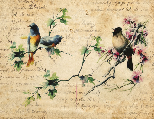 Винтажное письмо с птичками