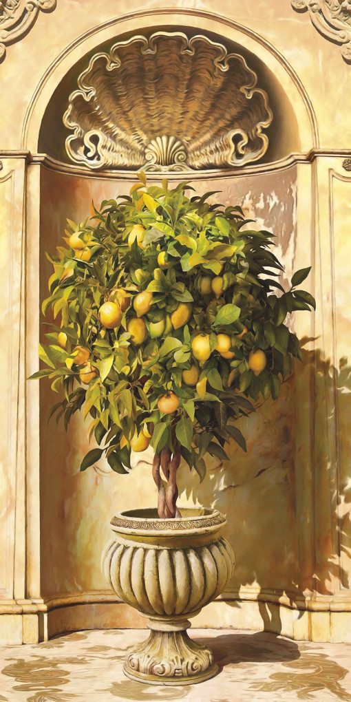 Лимонное дерево в нише