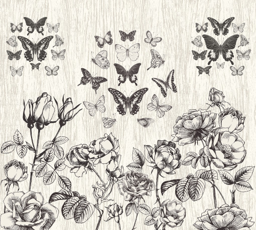 Бабочки и южные цветы