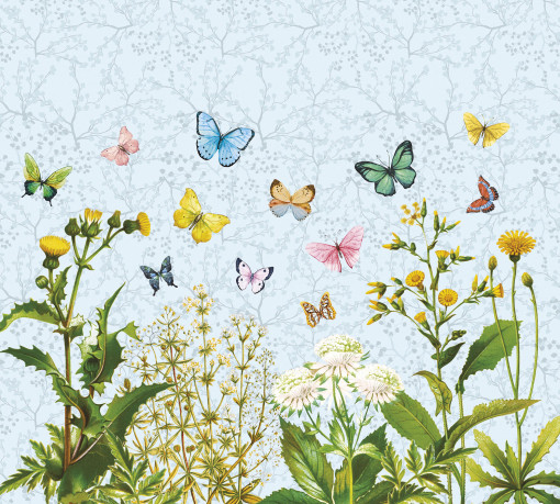 Бабочки и весенние цветы