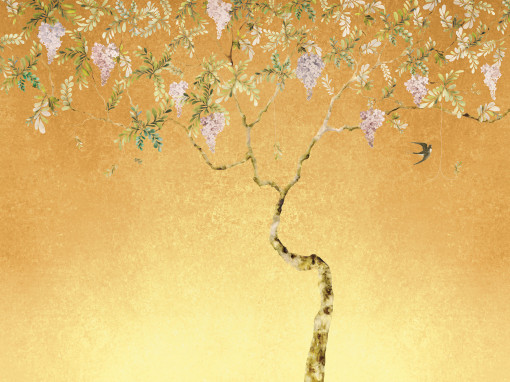 Golden acacia