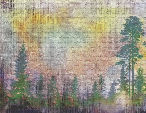 Shades. Forest and writing