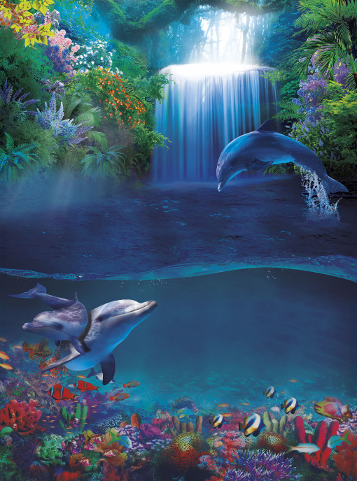 Залив с водопадом и дельфинами