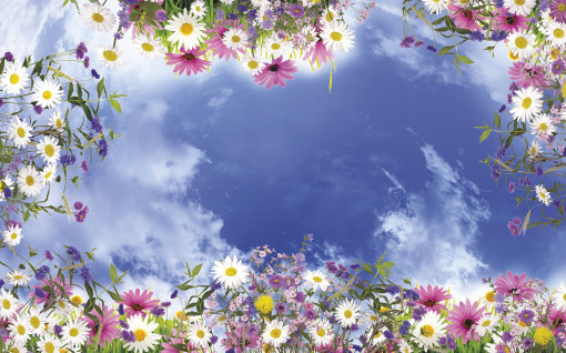 Небо с цветами