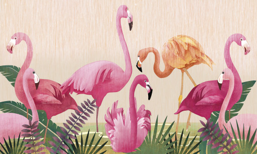 Стая фламинго