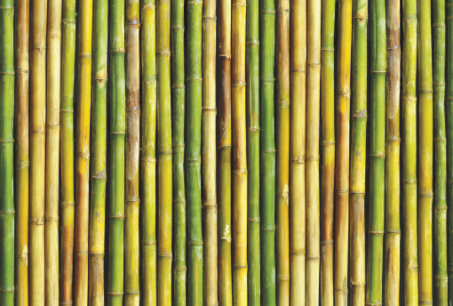 m 169 Стена из цветного бамбука