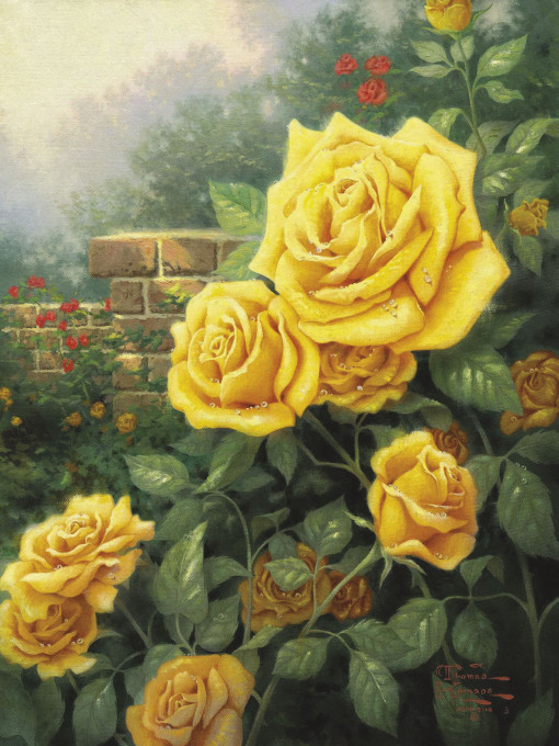 Жёлтые розы в саду