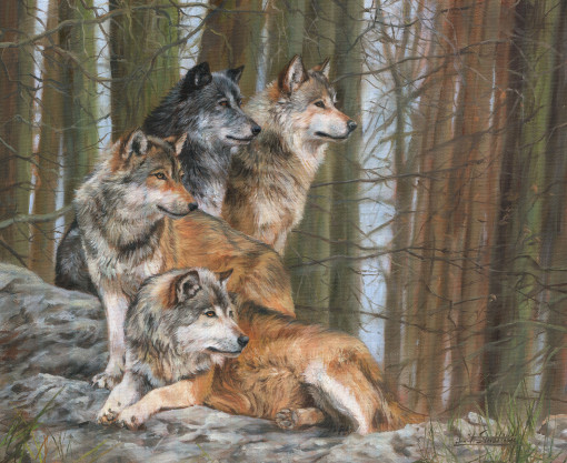 Four Wolves